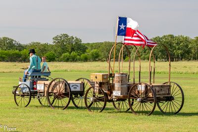 DSC_4633.jpg