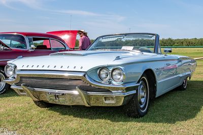 DSC_4642.jpg