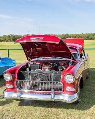 DSC_4643.jpg