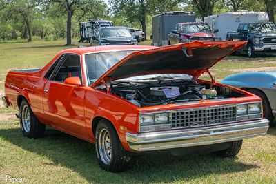 DSC_5064.jpg