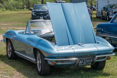 DSC_5066.jpg