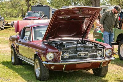 DSC_5071.jpg