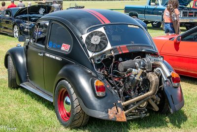 DSC_5222.jpg