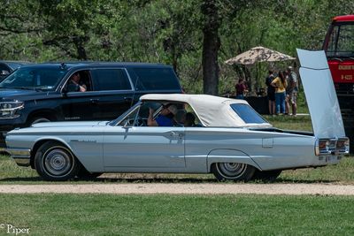 DSC_5384.jpg