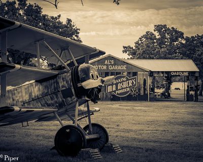 DSC_4466.jpg