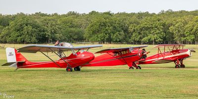 DSC_4477.jpg
