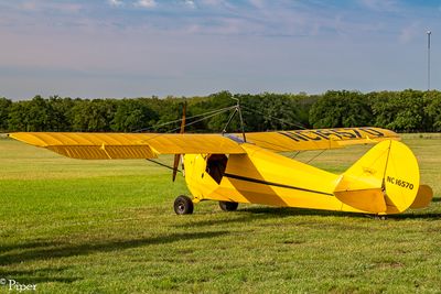 DSC_4507.jpg