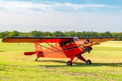 DSC_4547.jpg