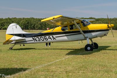 DSC_4765.jpg