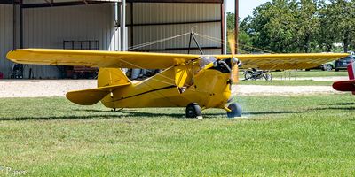 DSC_4771.jpg