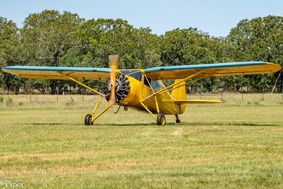 DSC_4864.jpg