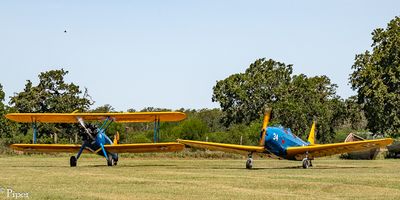 DSC_4917.jpg