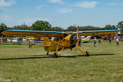 DSC_5542.jpg