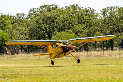 DSC_5556.jpg