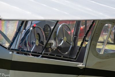 DSC_5593.jpg