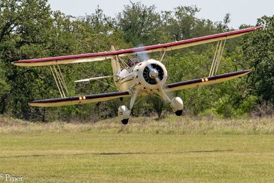 DSC_5601.jpg