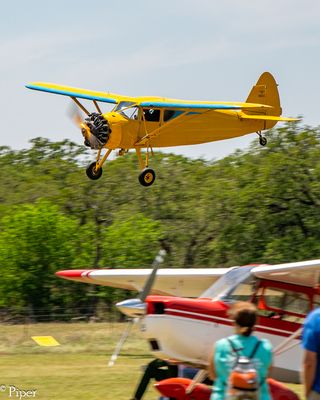 DSC_5650.jpg