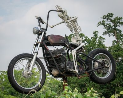 DSC_5684.jpg