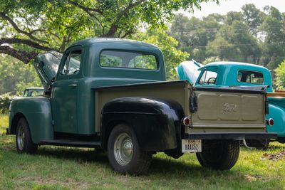 DSC_5942.jpg