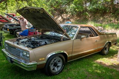 DSC_6329.jpg