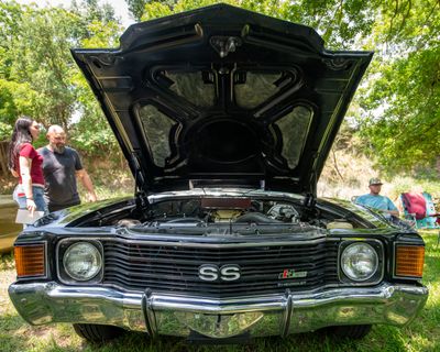 DSC_6344.jpg