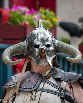 DSC_6482.jpg