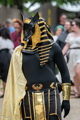 DSC_6491.jpg