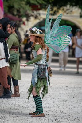 DSC_6503.jpg