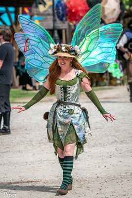 DSC_6513.jpg