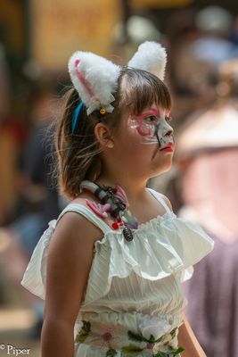 DSC_6816.jpg