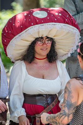 DSC_6861.jpg