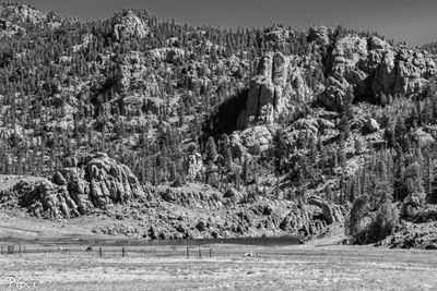 DSC_8663.jpg