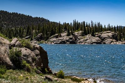 DSC_8699.jpg