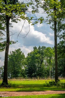 DSC_9375.jpg