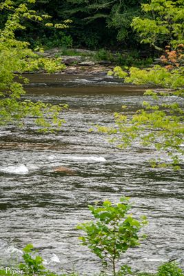 DSC_9426.jpg