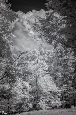 g13/28/1472428/3/175727246.257289a0.JPEG