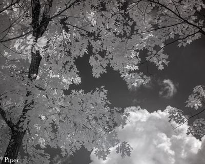 g13/28/1472428/3/175727249.3f990826.JPEG