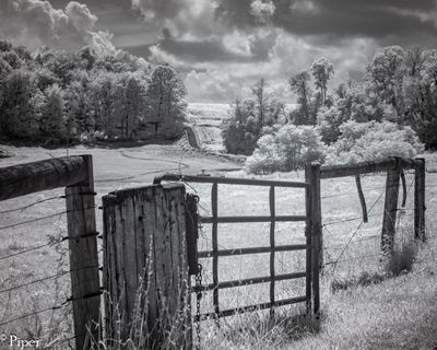 DSC_0170.jpg