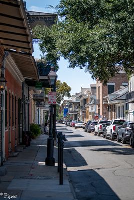 DSC_0166.jpg