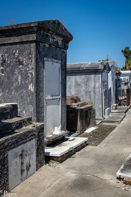 DSC_0658.jpg