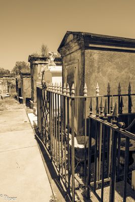 DSC_0683.jpg