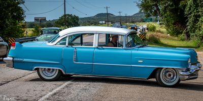 DSC_0842.jpg