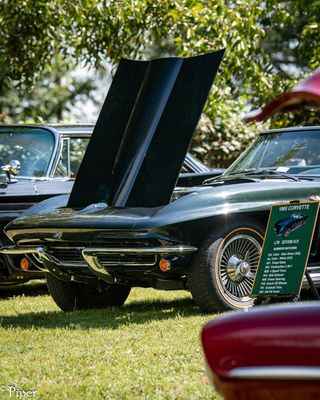 DSC_1077.jpg