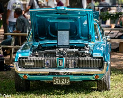 DSC_1093.jpg