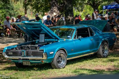 DSC_1095.jpg