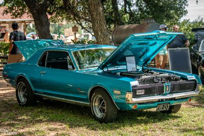 DSC_1108.jpg