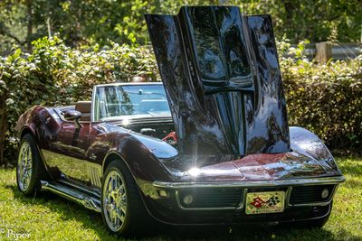 DSC_1116.jpg