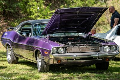 DSC_1125.jpg