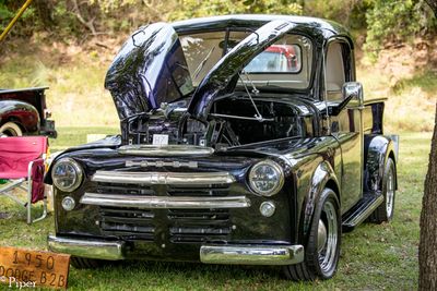DSC_1168.jpg