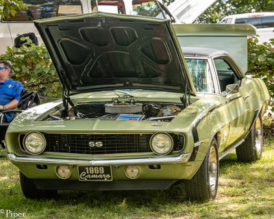 DSC_1205.jpg